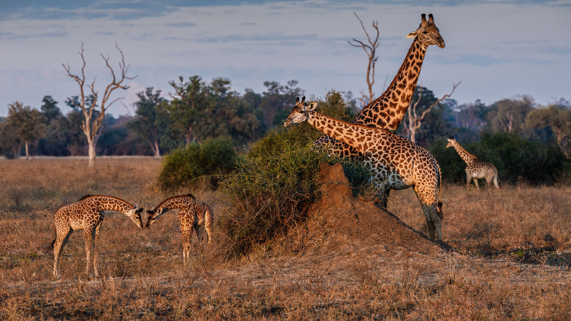 Luxe rondreis door Namibie - 18 daagse individuele reis door Namibie