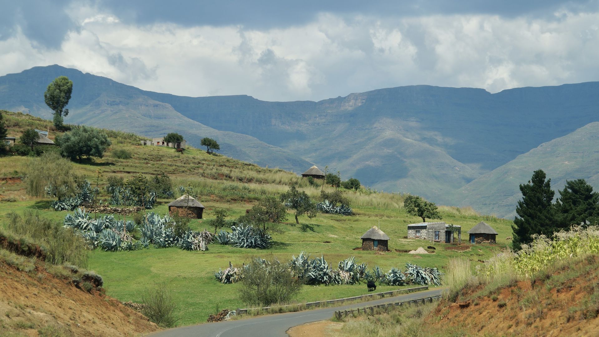 Drie weken Zuid-Afrika: 20-daagse reis Zuid Afrika, Lesotho en Eswatani