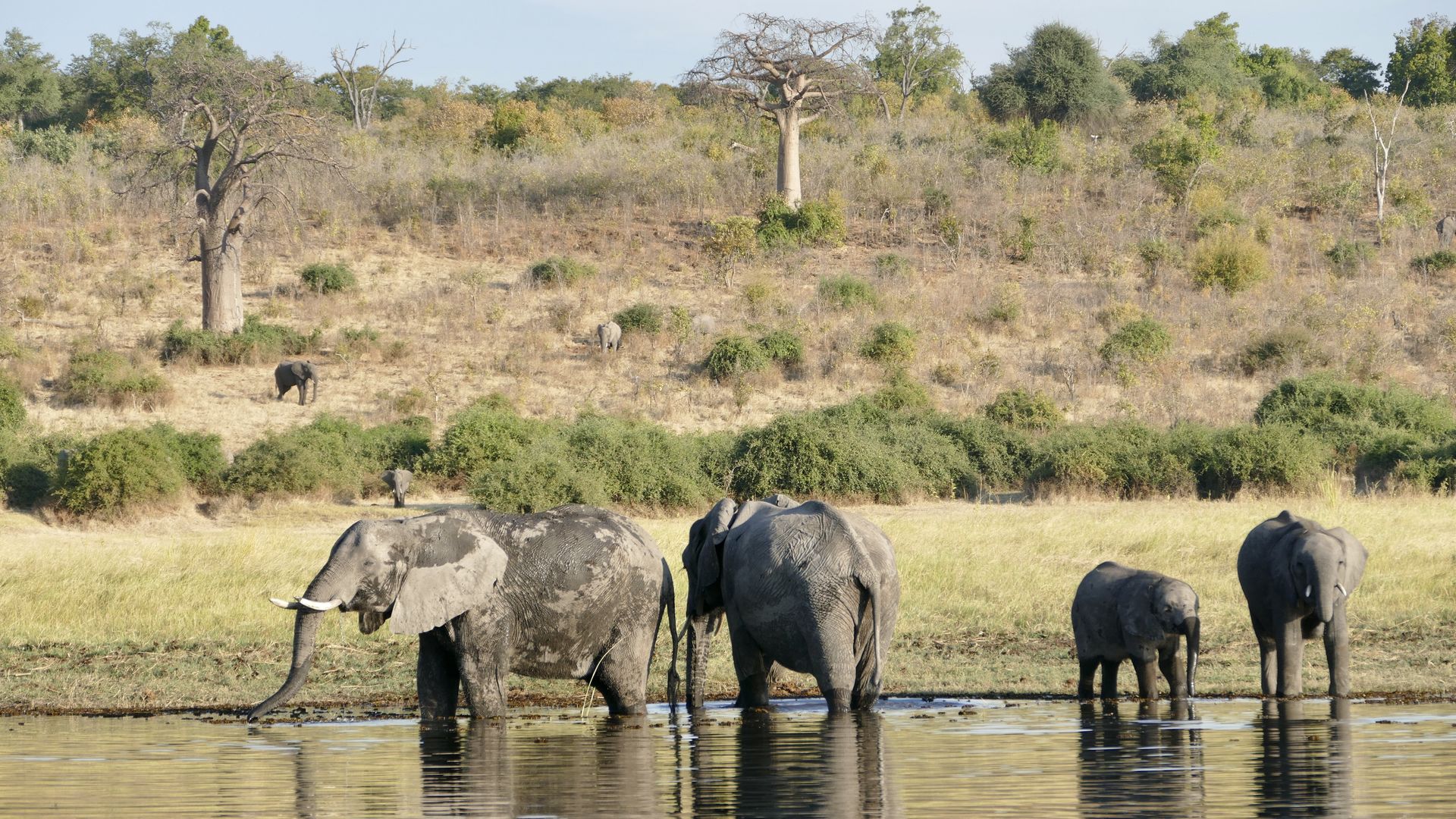 Victoria Watervallen, Zuid-Afrika en Botswana | 16-daagse reis