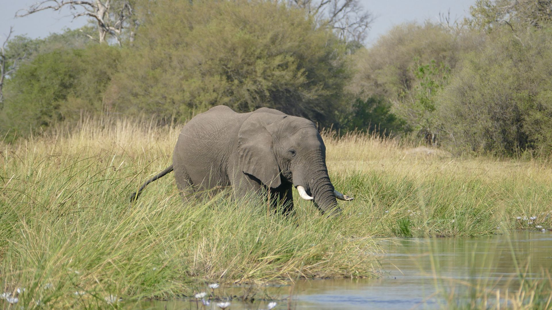 Self-drive reis Namibie Botswana en Victoria Falls | Matoke Tours