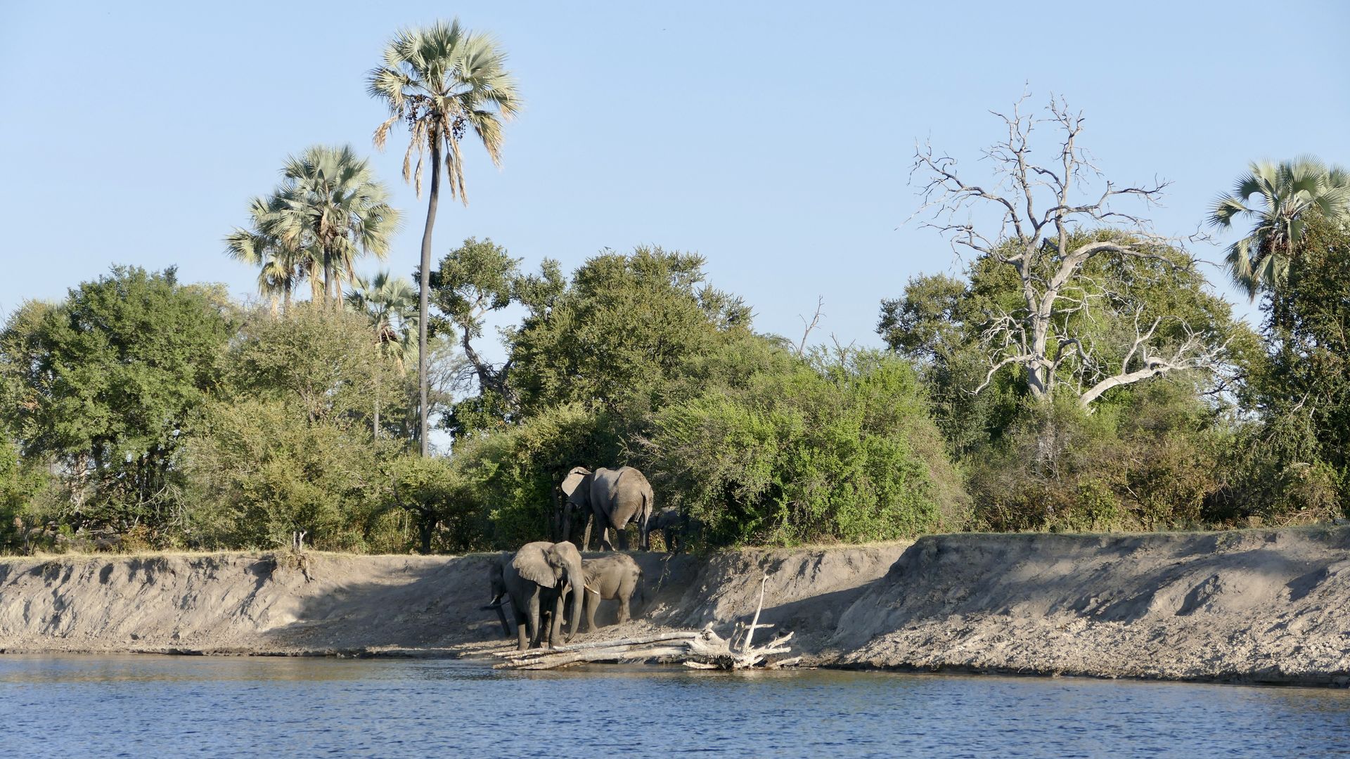 Selfdrive Namibië Botswana - 4x4 autorondreis door Namibie en Botswana