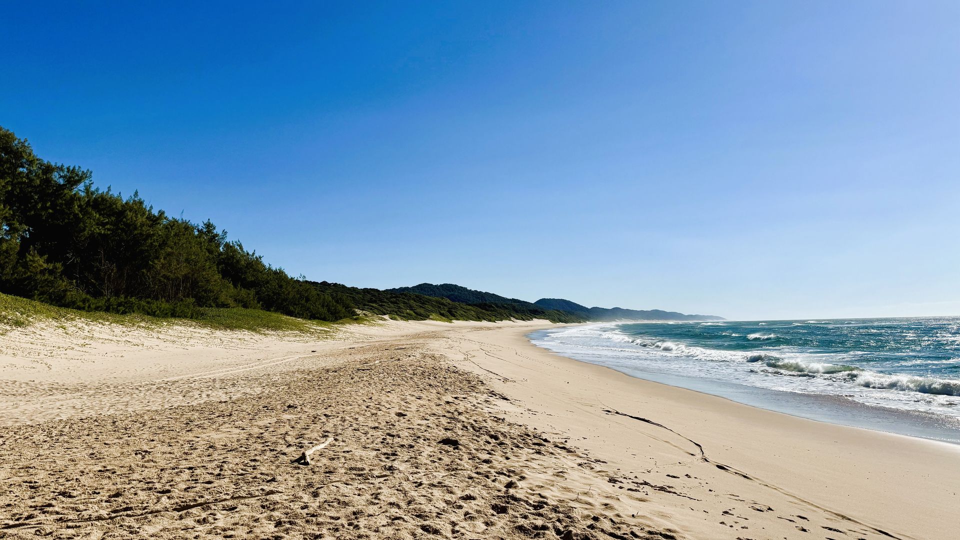 iSimangaliso Wetland Park - St. Lucia | Matoke Tours