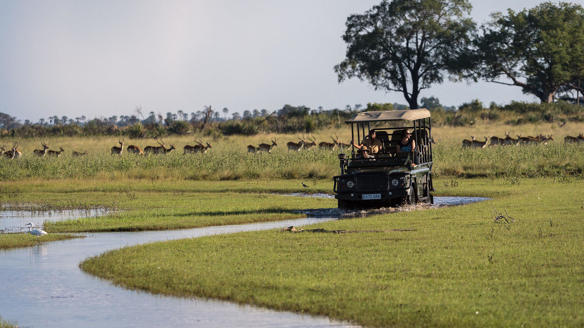 Individuele rondreis Botswana | 12 dagen reis | Matoke Tours