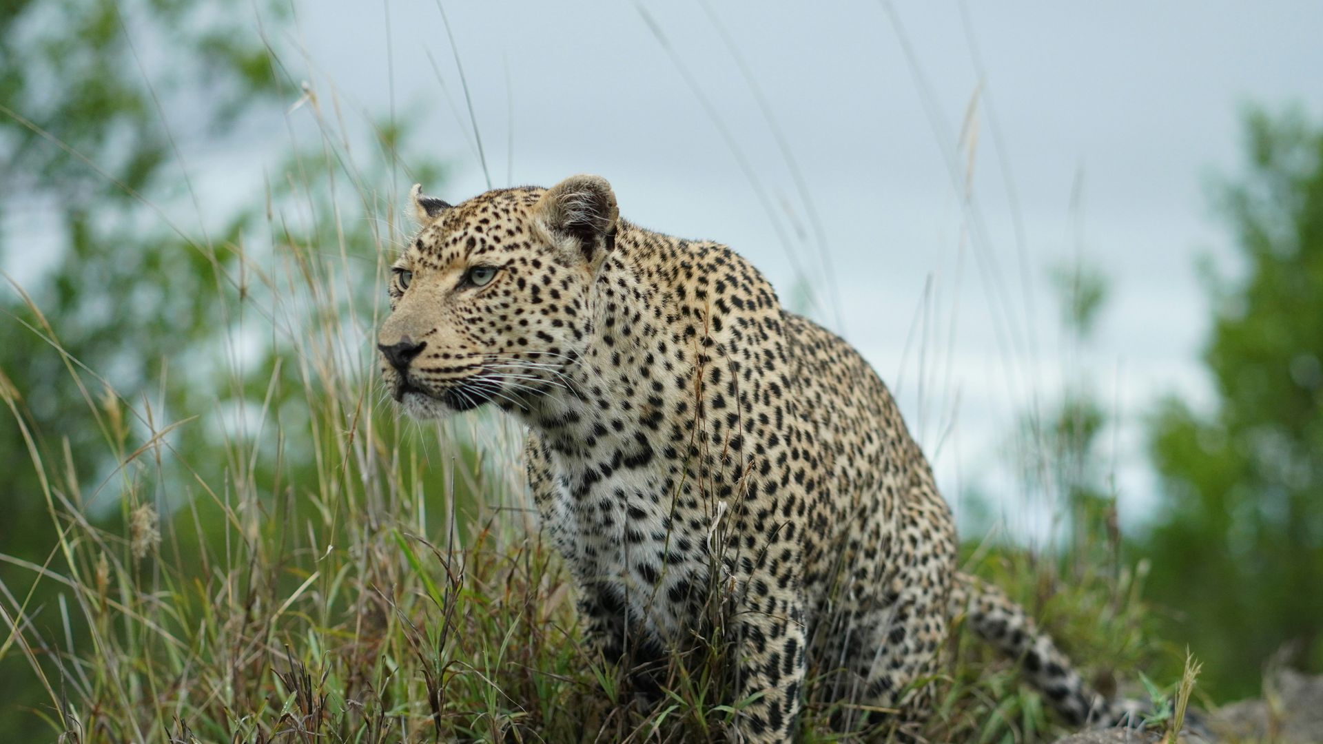 Dit moet je weten over Malaria in Zuid-Afrika | Matoke Tours