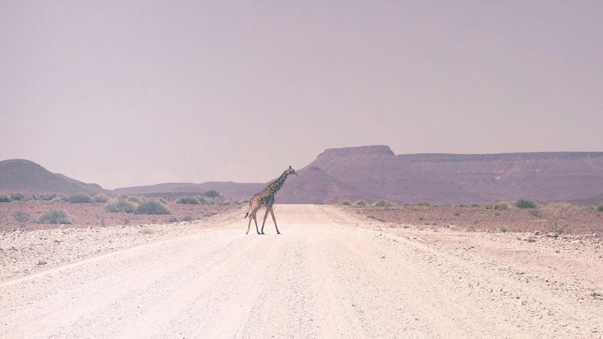 Deadvlei Namibië – Matoke Tours
