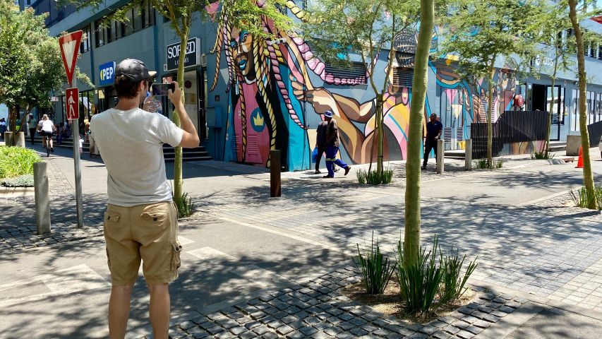 Rondreis twee weken Zuid Afrika en Seychellen | Malariavrij reizen