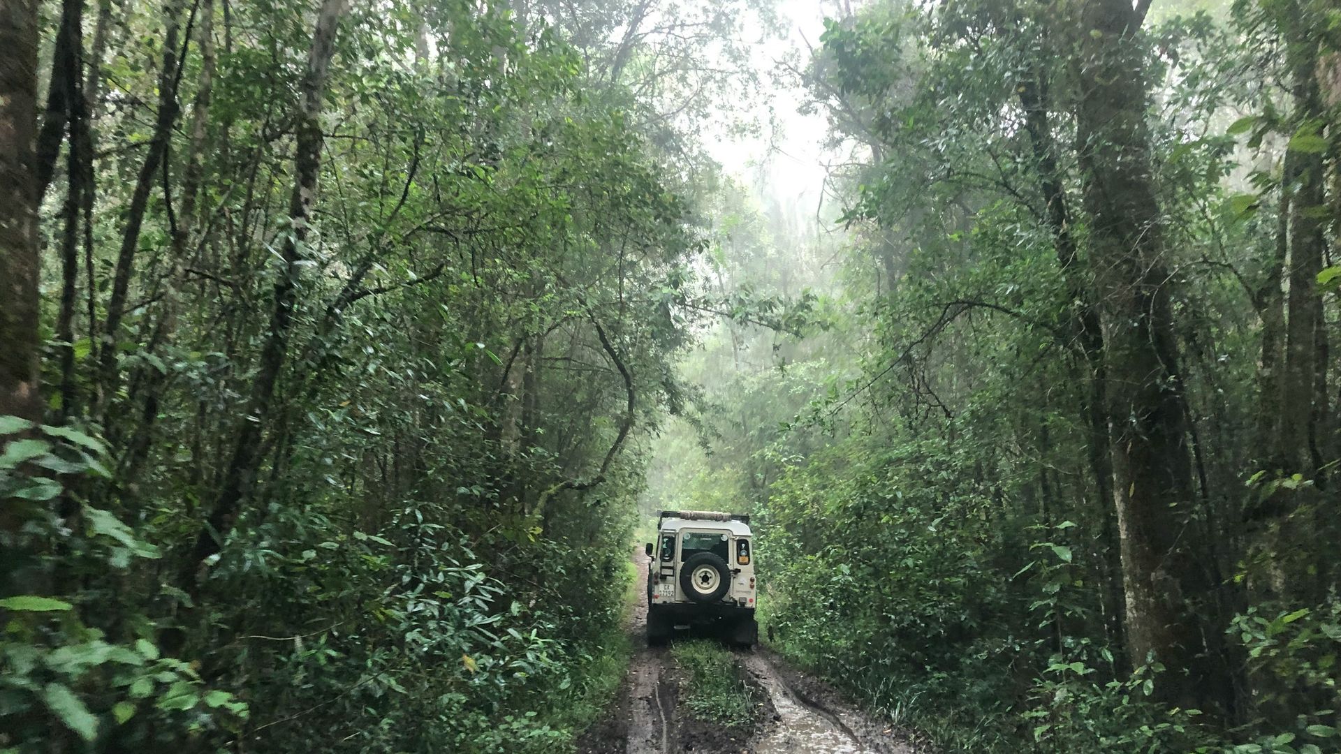 Knysna - de parel van de Tuinroute | Matoke Tours