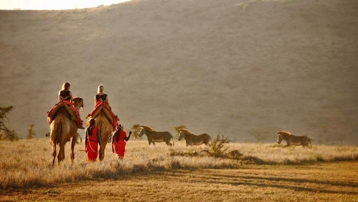 Samburu National Reserve bezoeken | Matoke Tours