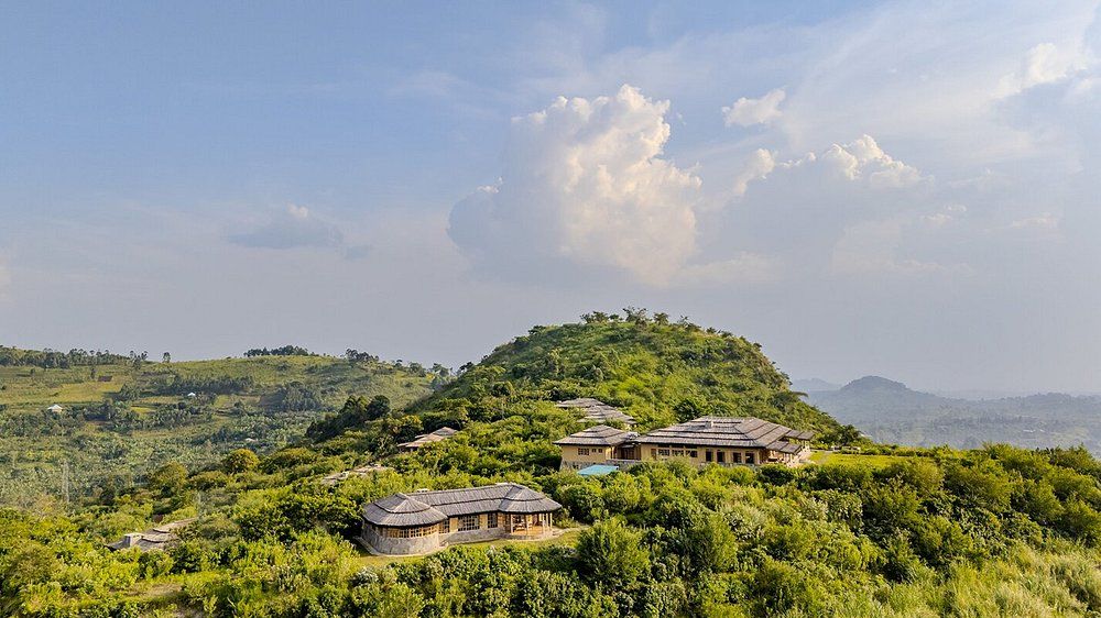 Kibale Lodge » Oeganda » Matoke Tours