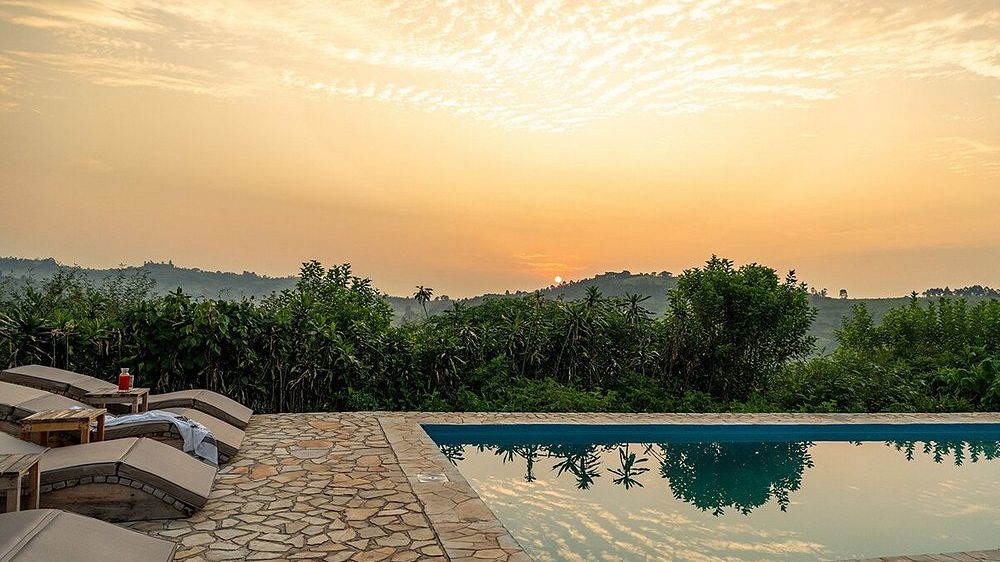 Kibale Lodge » Oeganda » Matoke Tours