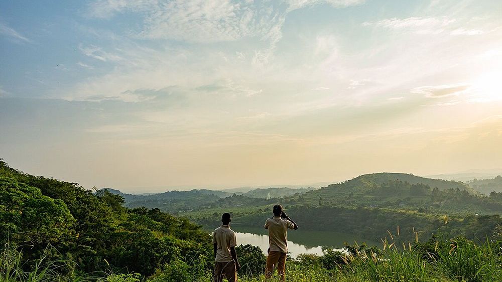 Kibale Lodge » Oeganda » Matoke Tours