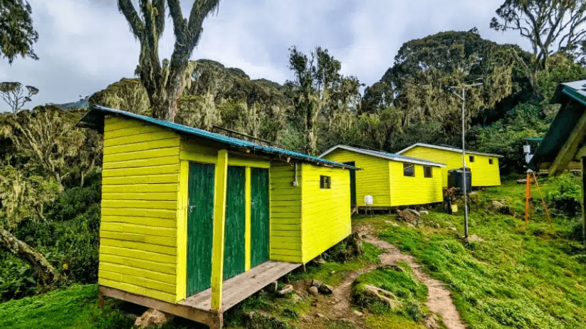 Rwenzori - Kiharo Camp 3460 meter » Matoke