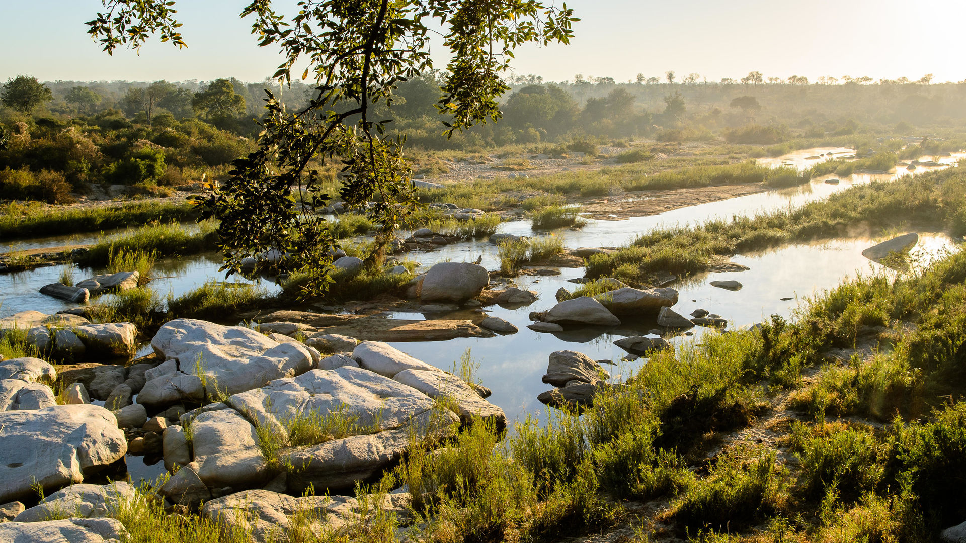 Sabi Sand - Natuurreservaat - Zuid-Afrika - Matoke Tours