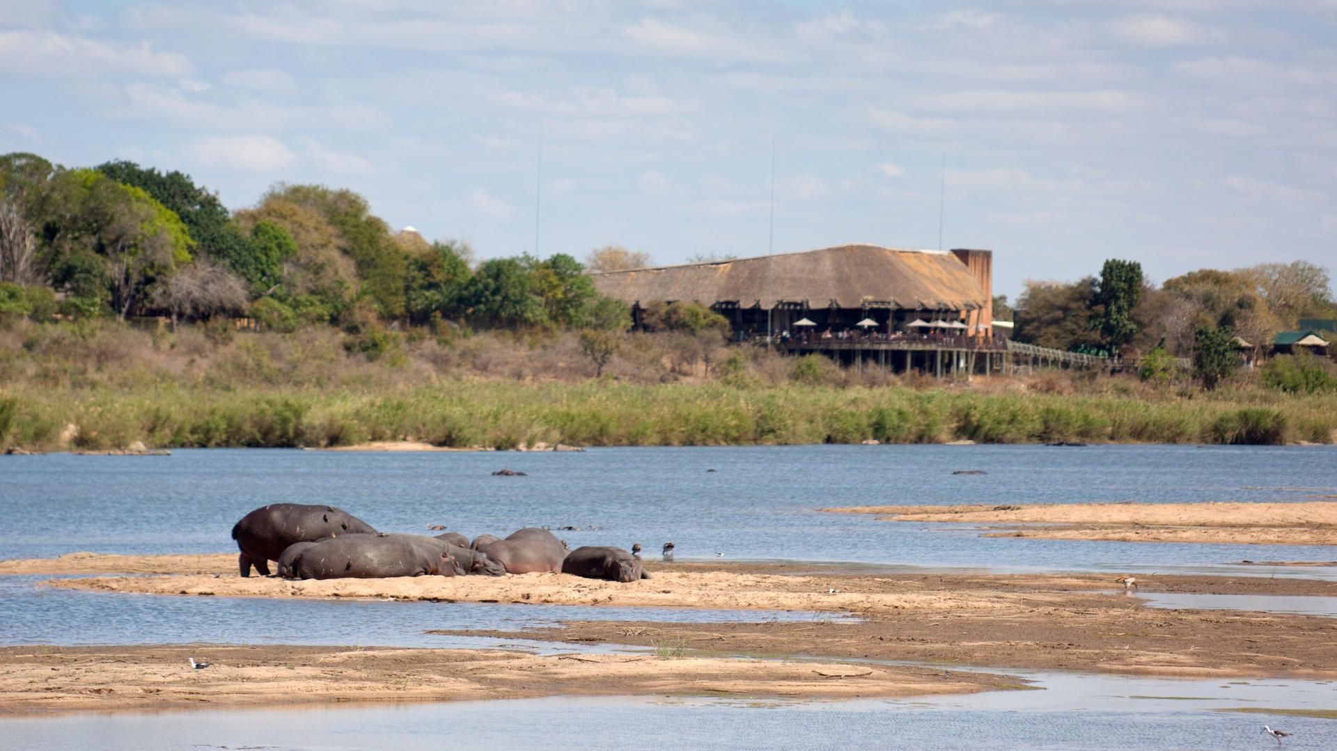 Lower Sabie Rest Camp » Zuid Afrika » Matoke Tours