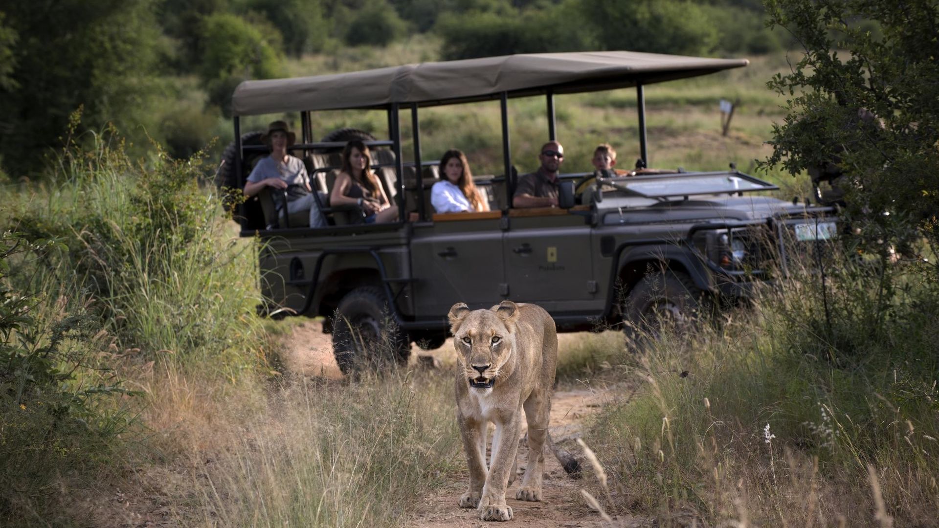 Madikwe - Natuur Reservaat - Zuid-Afrika - Matoke Tours