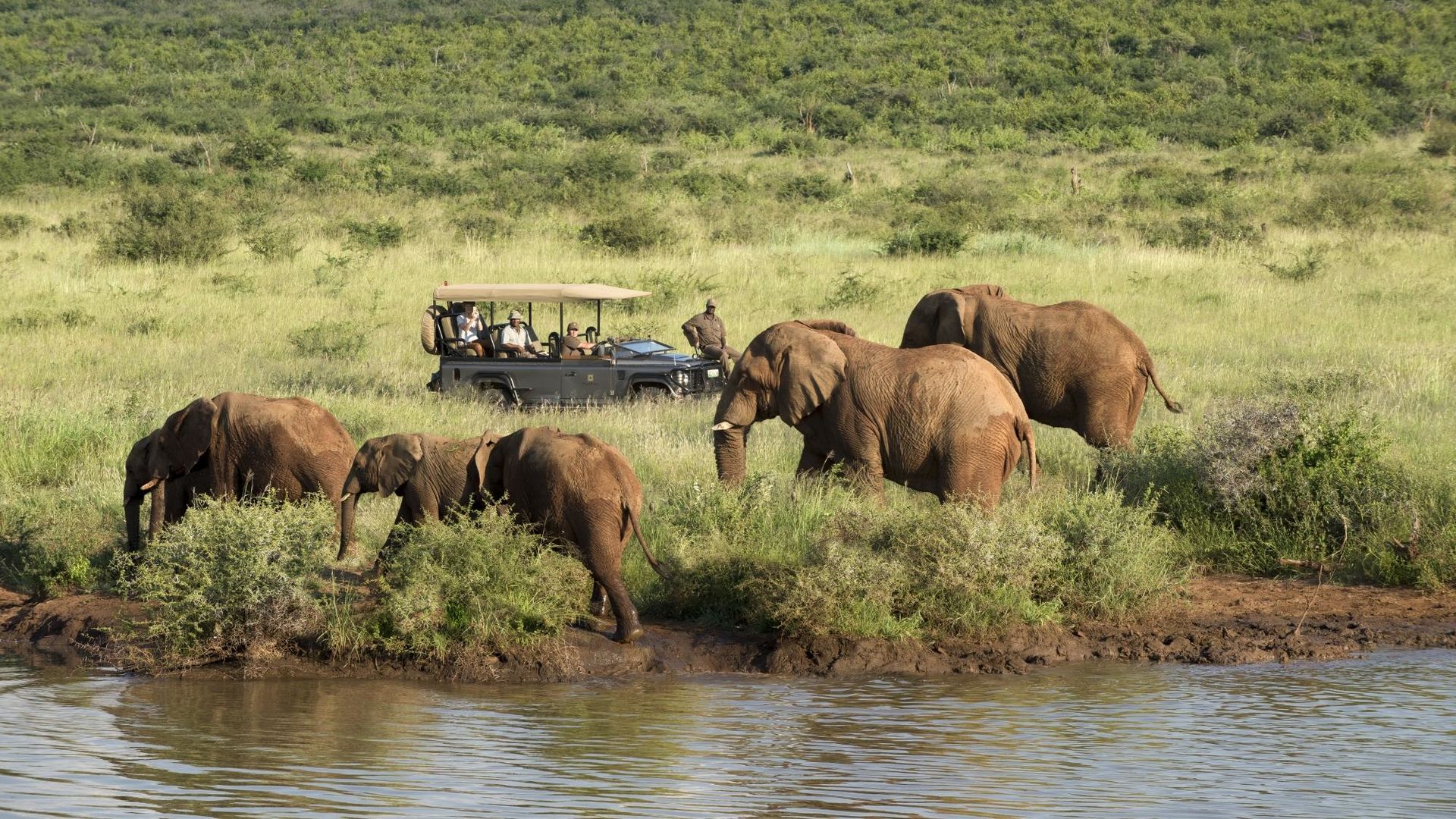 Rondreis twee weken Zuid Afrika en Seychellen | Malariavrij reizen