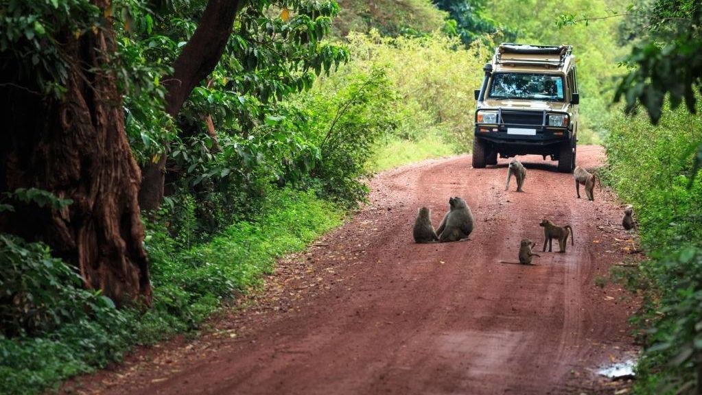 Groepsreis Kenia Tanzania - 17 dagen | Matoke Tours