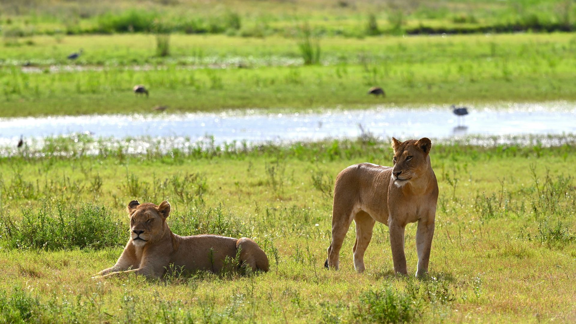 Afrika Blog van Matoke Tours - Uit liefde voor AFRIKA