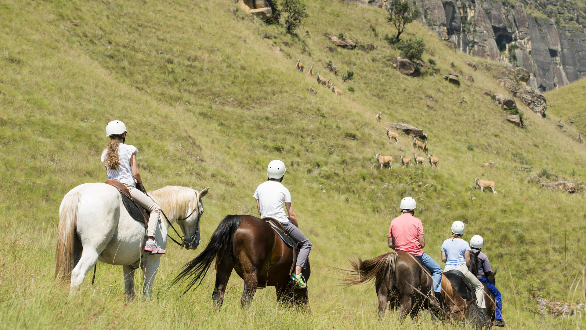 Drakensbergen - Drakensberg - Zuid-Afrika - Matoke Tours