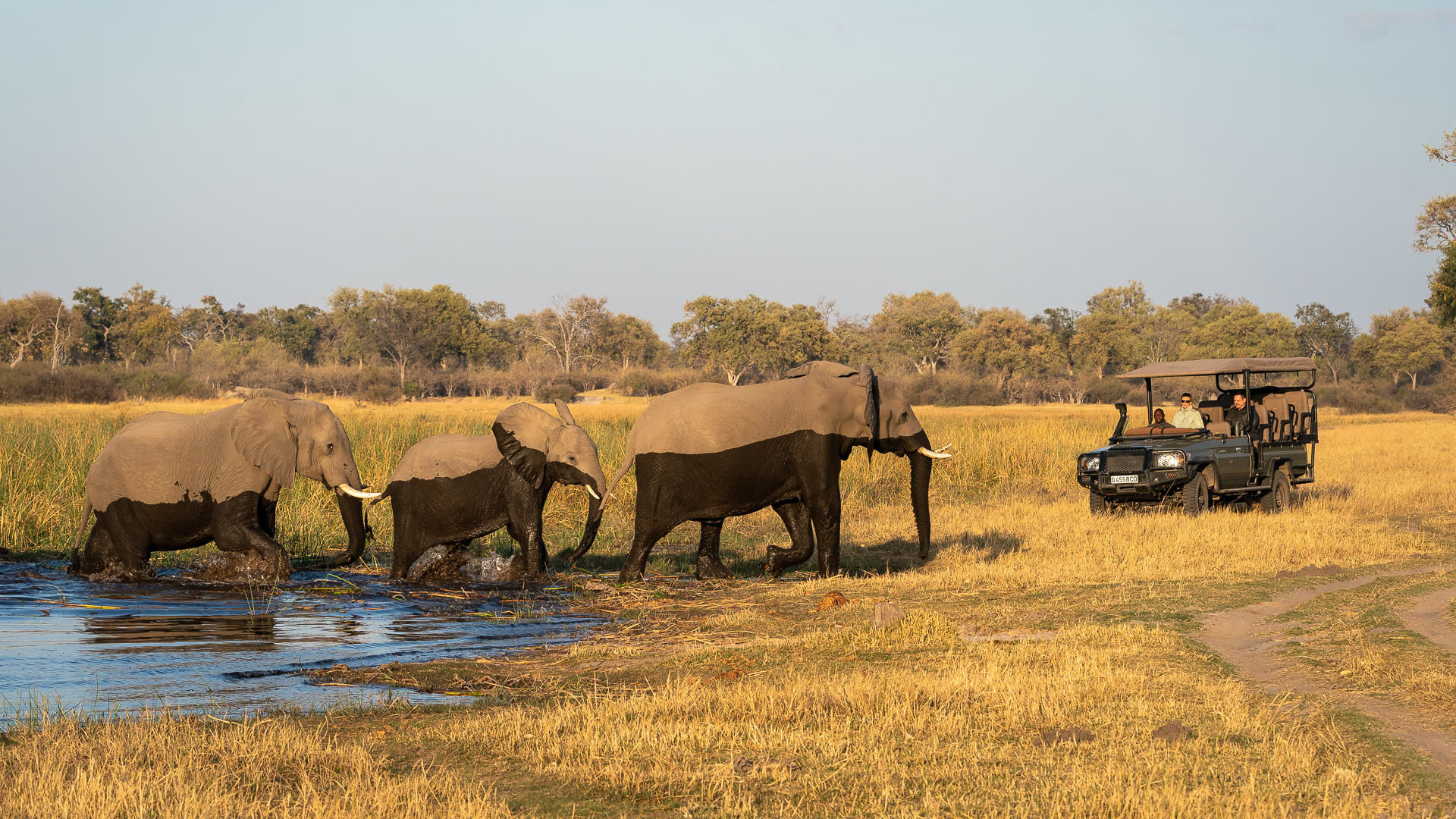 Reisorganisatie Matoke Tours – Over ons