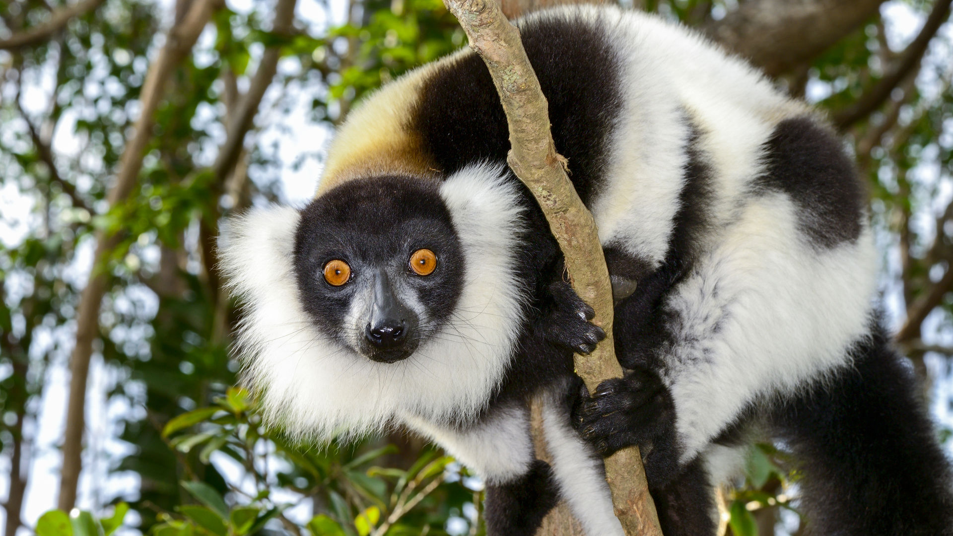 Madagascar en Mauritius | rondreis met Matoke Tours