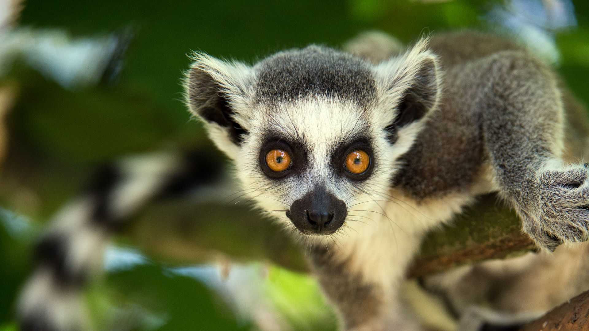 Individuele rondreis door Madagascar | Prive reizen Madagaskar