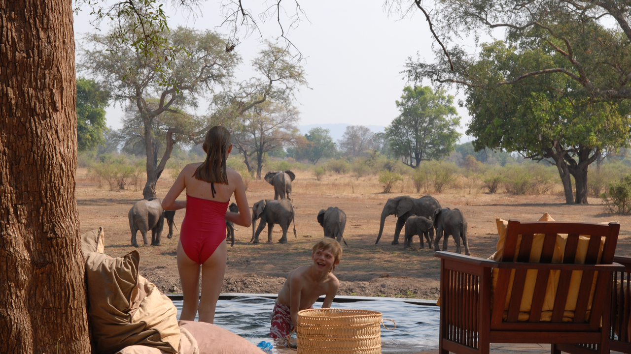 Safari met kinderen - Matoke Tours familiereizen in Afrika