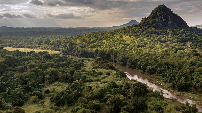 Gorongosa National Park | Safari in Mozambique | Matoke Tours