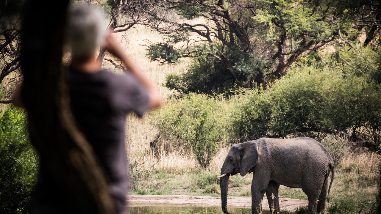 Waterberg - Nationaal Park - Zuid-Afrika - Matoke Tours