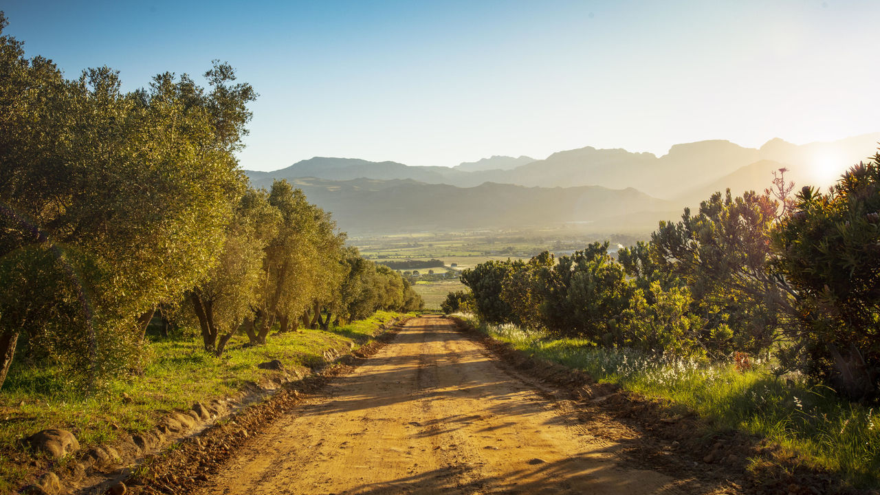 Franschhoek - de wijnhoofdstad van Zuid-Afrika | Matoke Tours