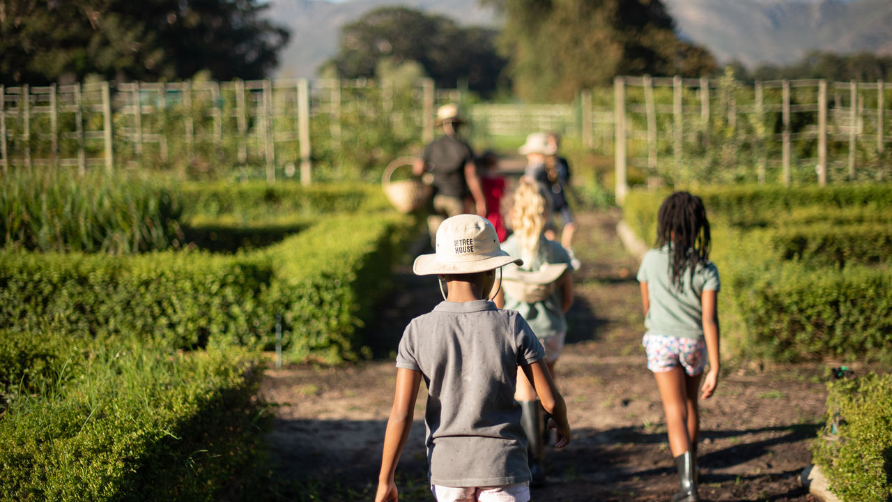 Franschhoek - de wijnhoofdstad van Zuid-Afrika | Matoke Tours