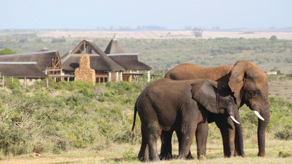 Hoe kies je de beste rondreis door Zuid-Afrika? | Matoke Tours