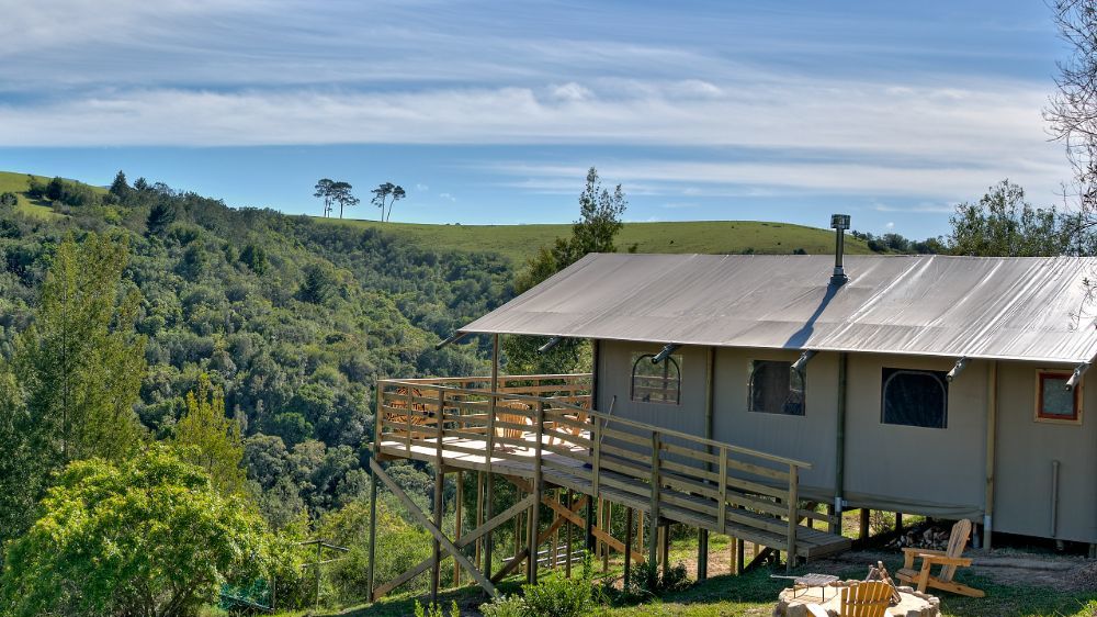 16-daagse gezinsreis Zuid-Afrika malariavrij | Tuinroute en Kaapstad