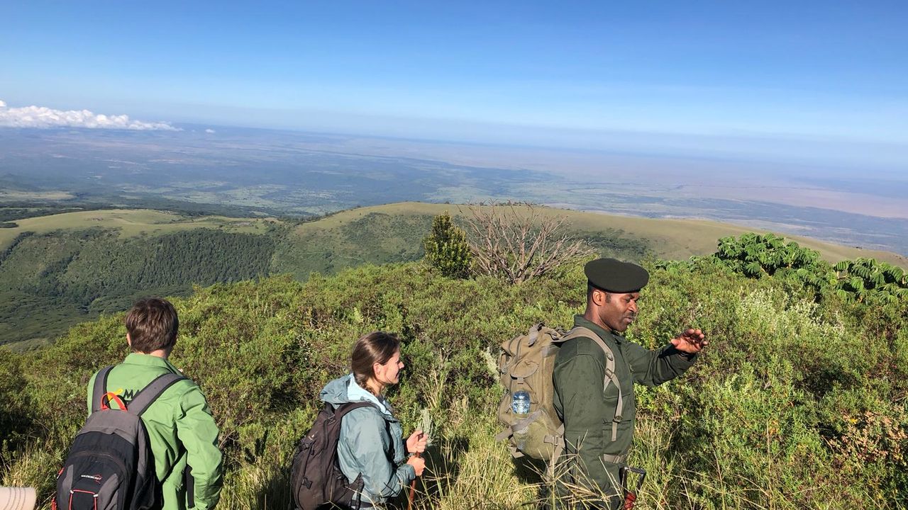 Ngorongoro Crater - Matoke Tours