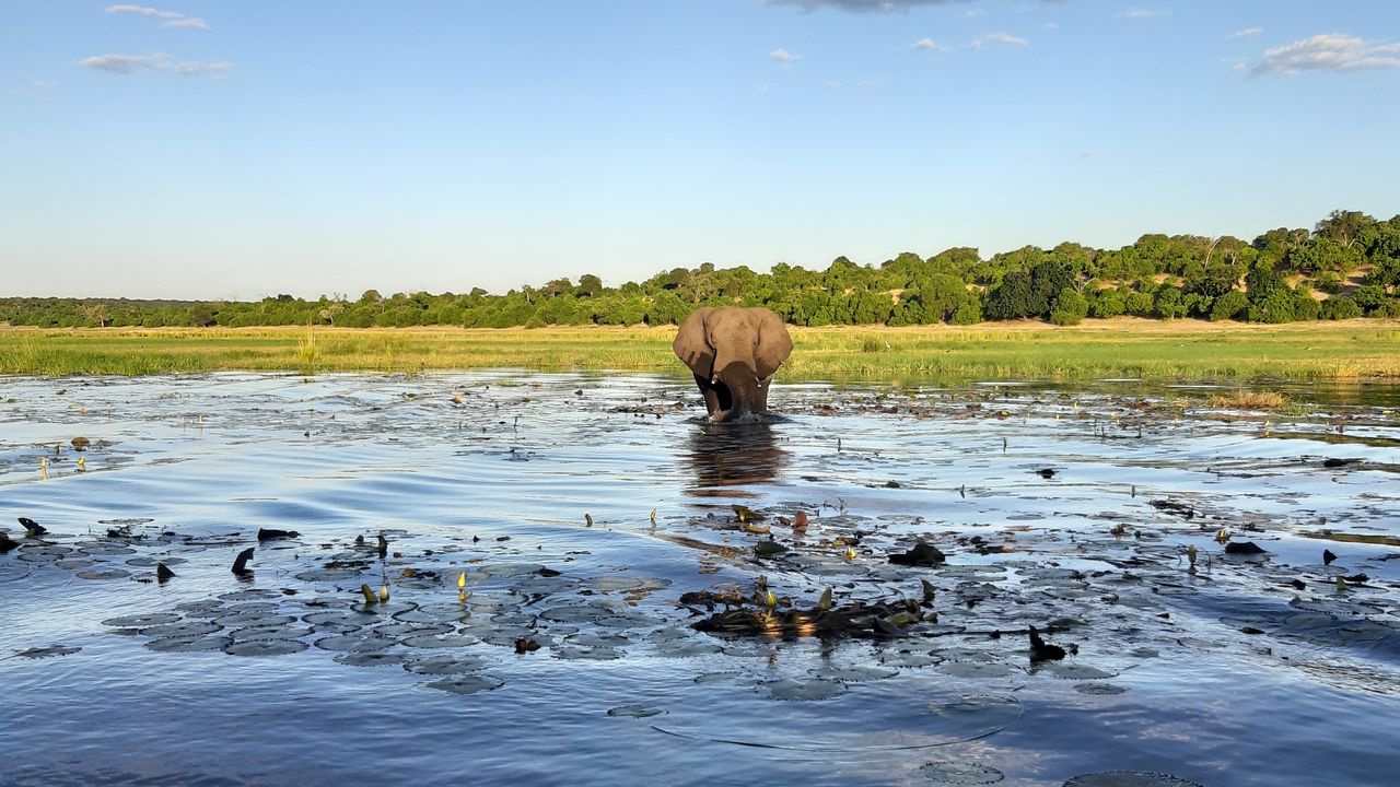 Hoe kies je de beste rondreis door Zuid-Afrika? | Matoke Tours