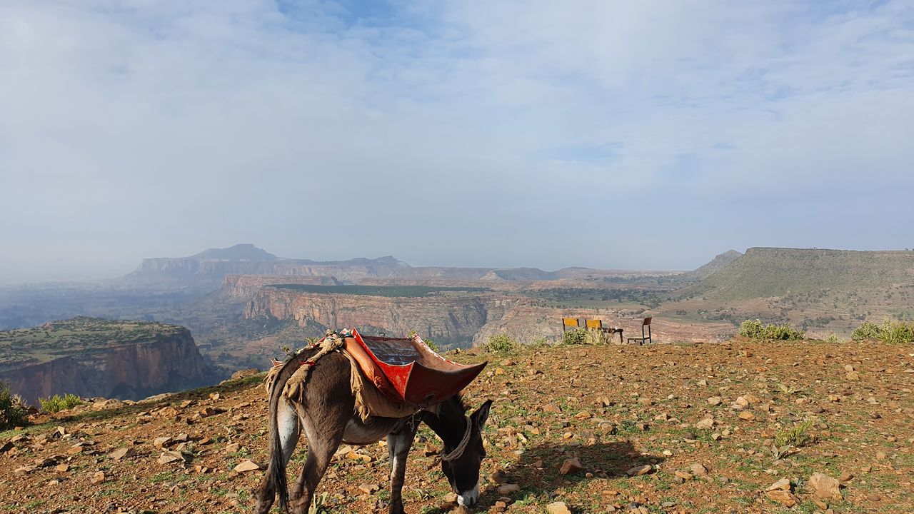 Reisverslag Ethiopië, Afrika | Matoke Tours