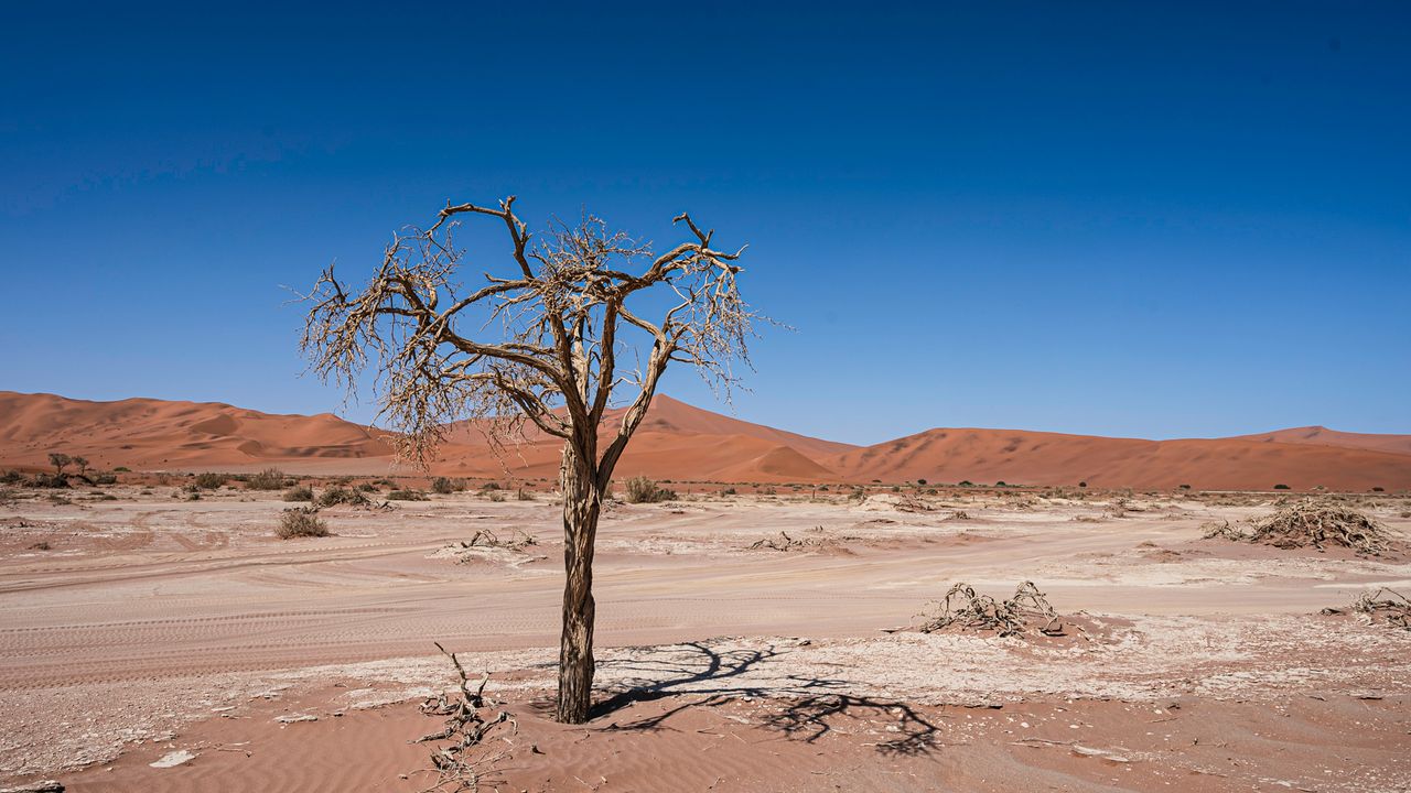 Deadvlei Namibië – Matoke Tours