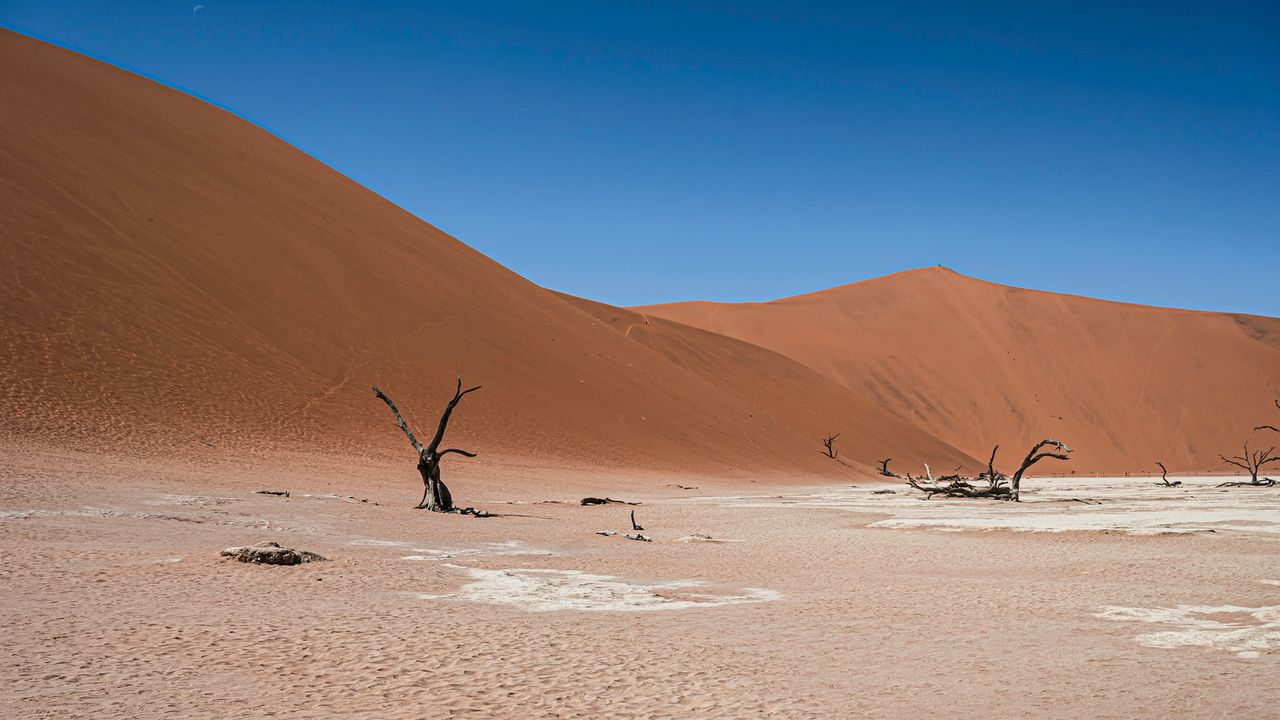 Deadvlei Namibië – Matoke Tours