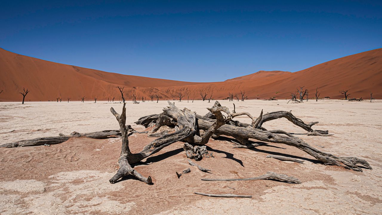 Deadvlei Namibië – Matoke Tours