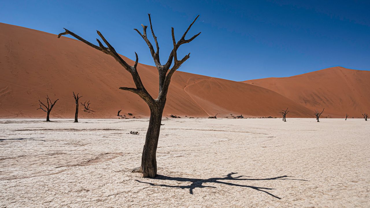 Deadvlei Namibië – Matoke Tours