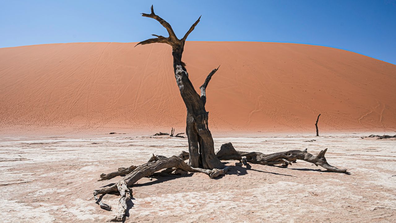 Sossusvlei Namibië - Matoke Tours