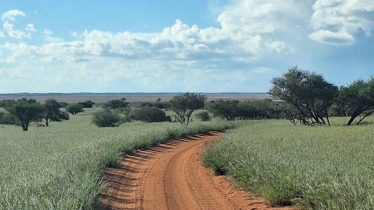 Reisspecialist Marit van Matoke Tours op studiereis in Namibië