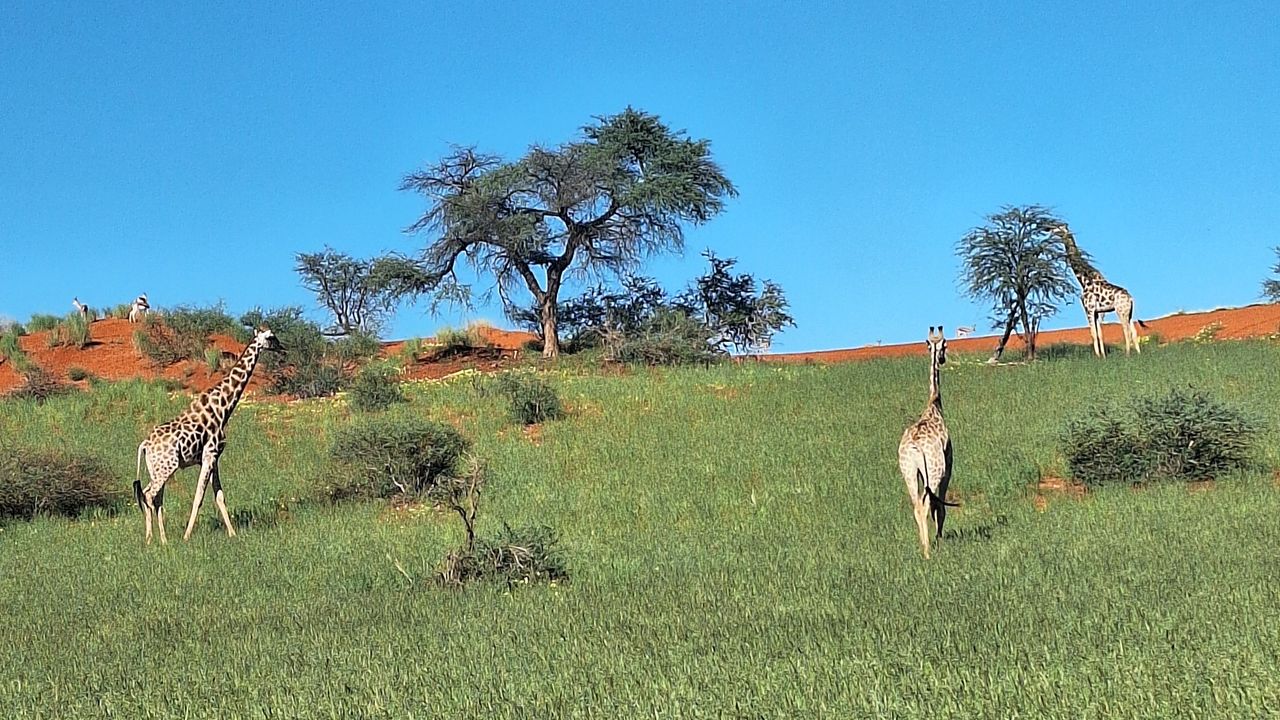 Reisspecialist Marit van Matoke Tours op studiereis in Namibië