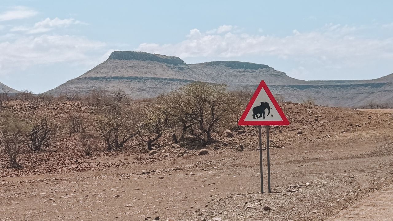 Reisspecialist Celia van Matoke Tours op selfdrive studiereis door Namibië, Botswana en Zimbabwe