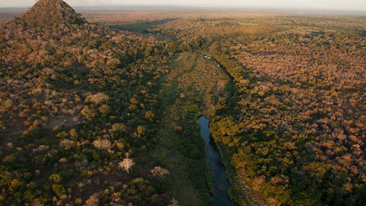 Gorongosa National Park | Safari in Mozambique | Matoke Tours