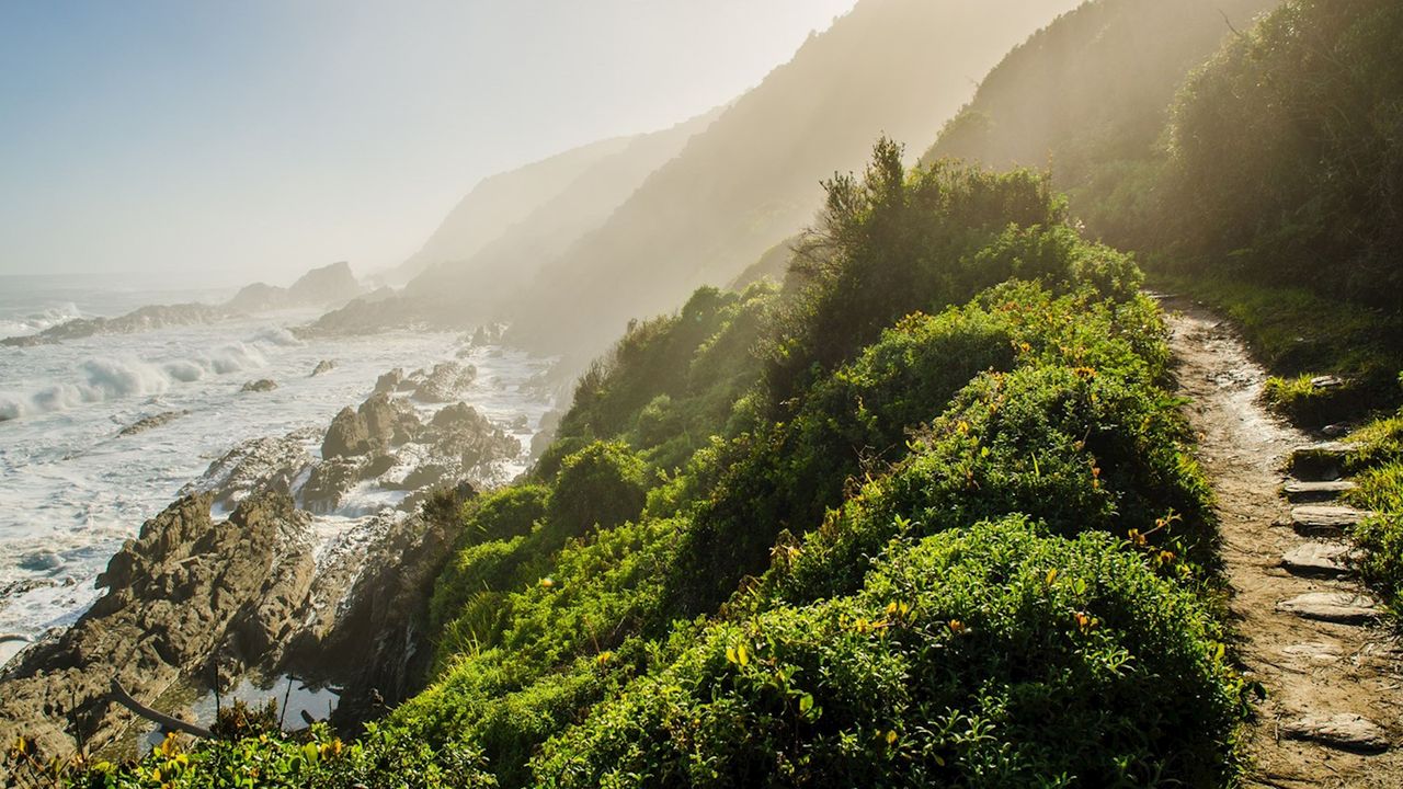 Hoe kies je de beste rondreis door Zuid-Afrika? | Matoke Tours