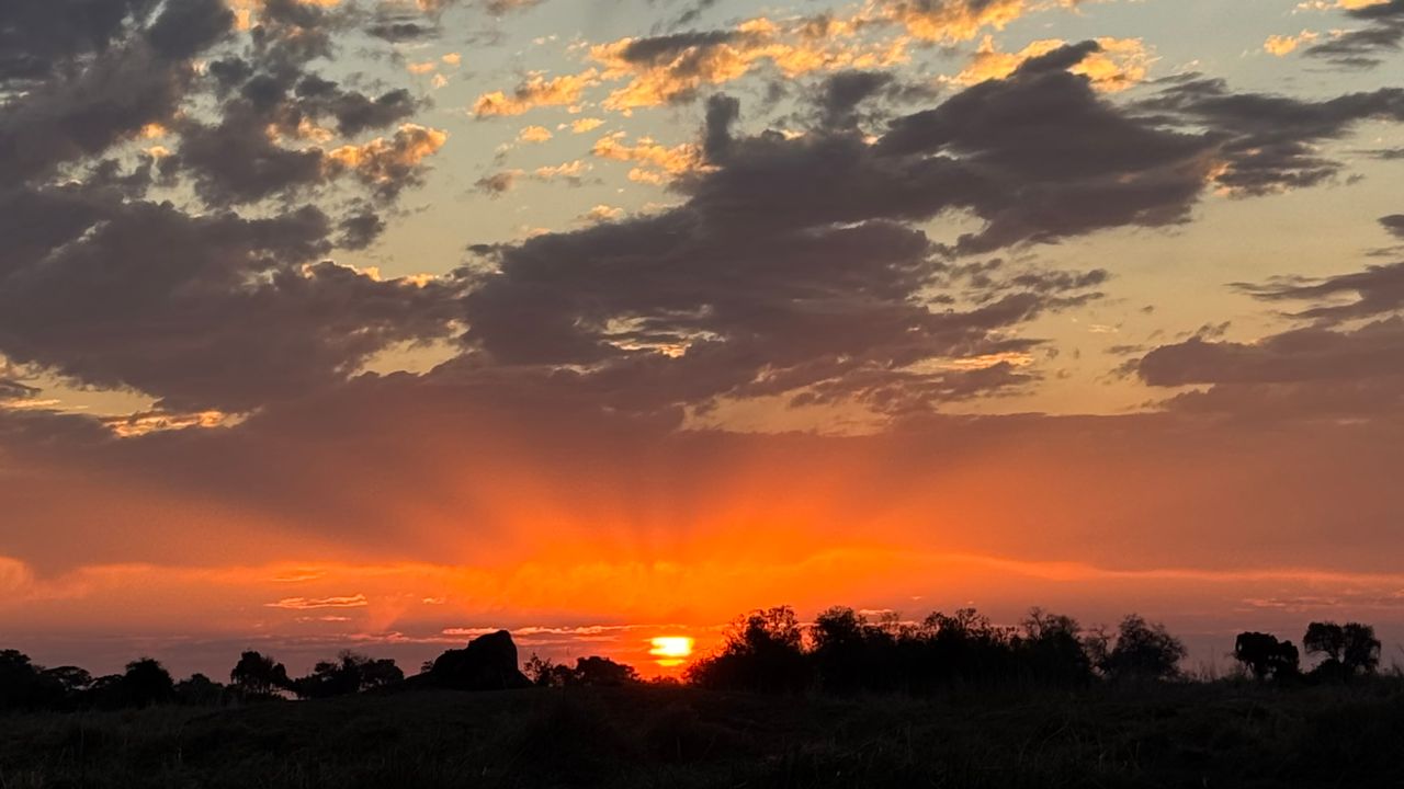 Reisspecialist Celia van Matoke Tours op selfdrive studiereis door Namibië, Botswana en Zimbabwe