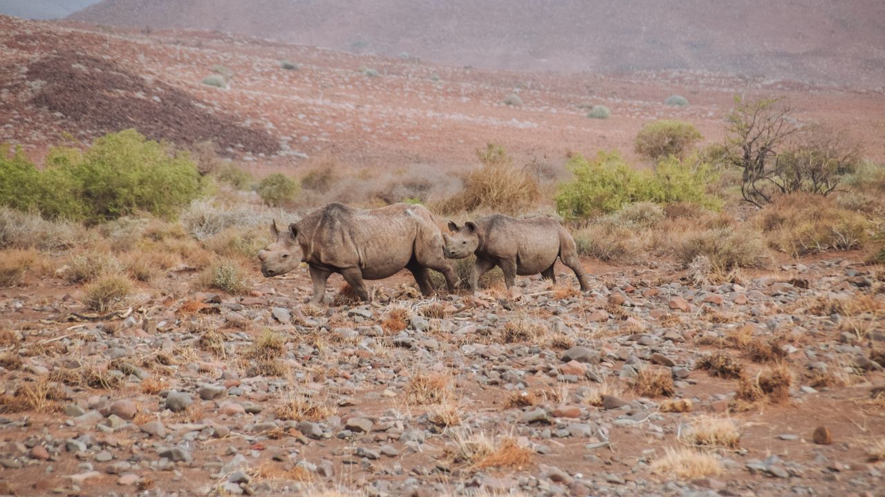 Reisspecialist Celia van Matoke Tours op selfdrive studiereis door Namibië, Botswana en Zimbabwe