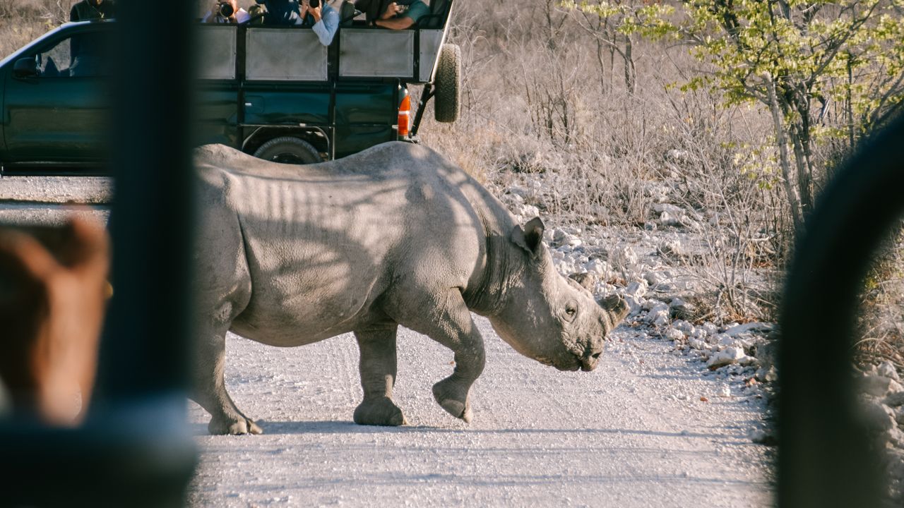 Reisspecialist Celia van Matoke Tours op selfdrive studiereis door Namibië, Botswana en Zimbabwe