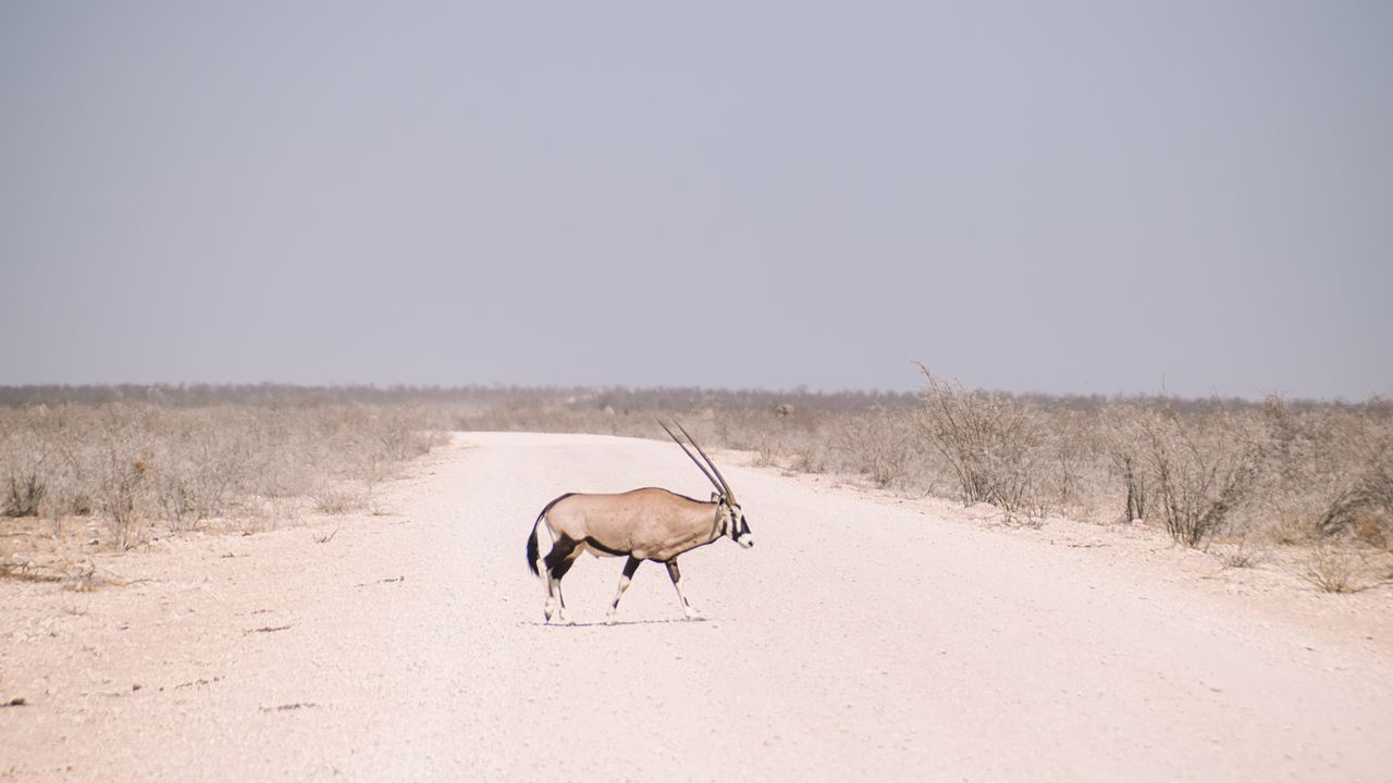 Reisspecialist Celia van Matoke Tours op selfdrive studiereis door Namibië, Botswana en Zimbabwe